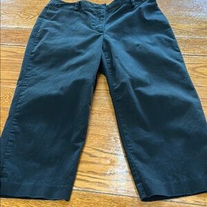 Liz Claiborne Lizwear black capris.  Good condition.  Size 14.